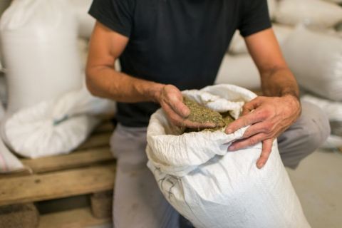 lastnosti CBD kapljic