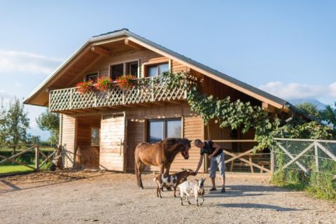 ekološko pridelane konopljine izdelke