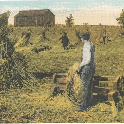 Ekološki konopljini izdelki zgodovina