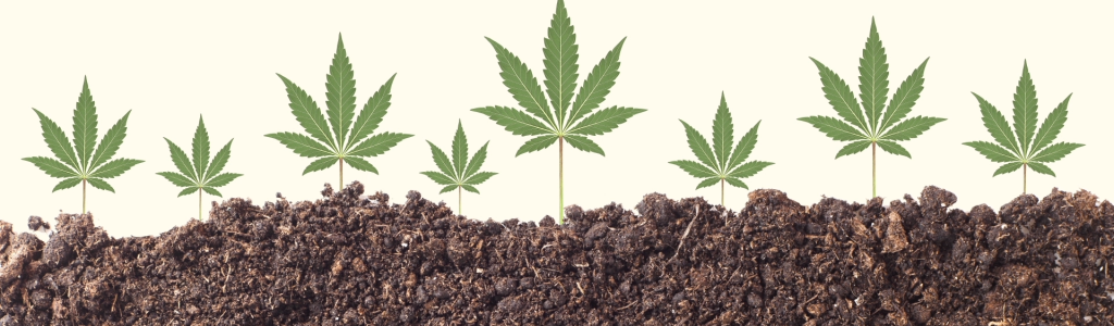 ekološki konopljini izdelki Ekokor