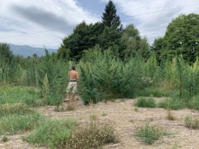 CBD kapljice za kozo EkoKor