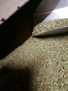 CBD kapljice separacija konoplja